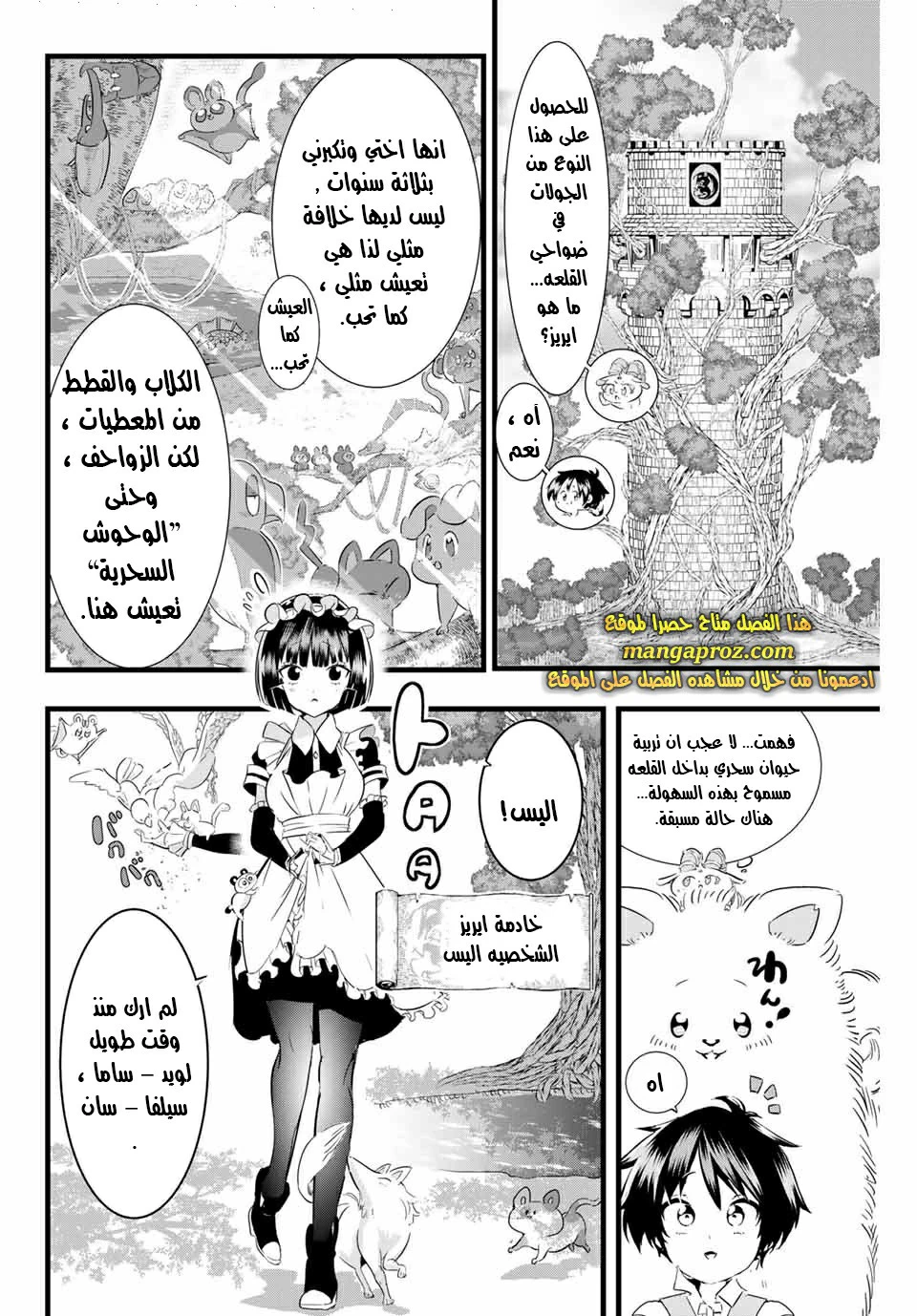 Chapter Image 3
