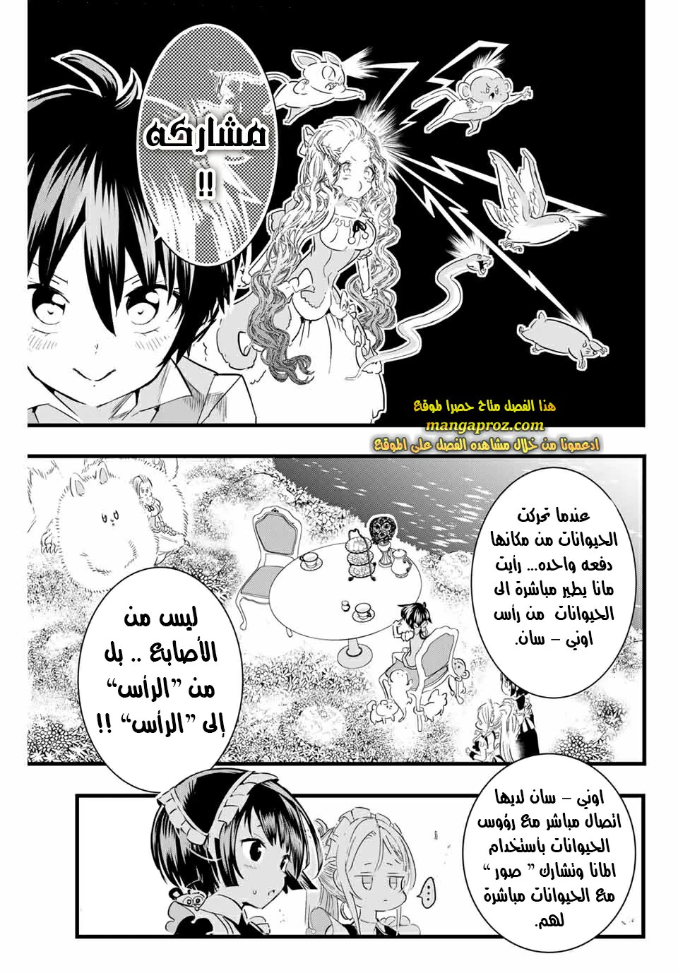 Chapter Image 4