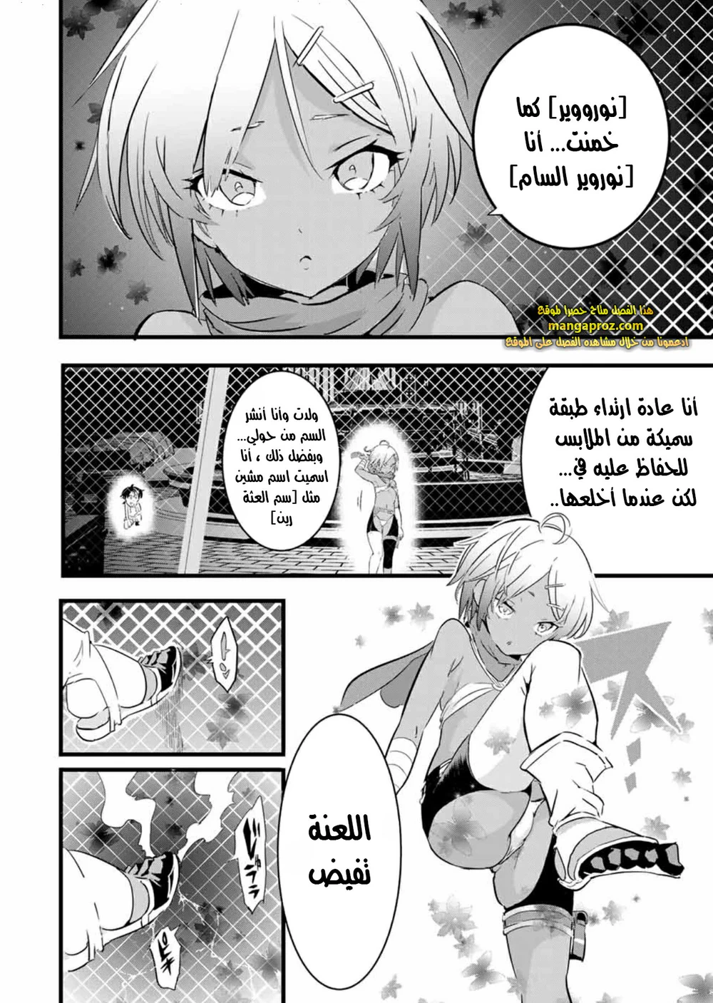 Chapter Image 3