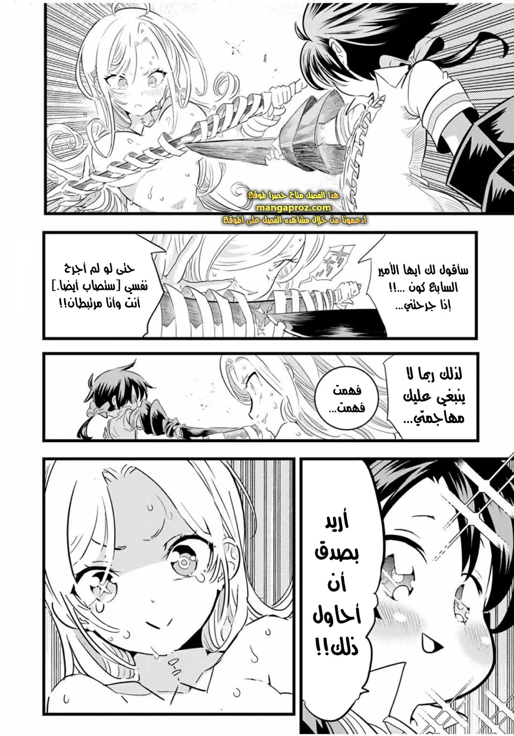 Chapter Image 11