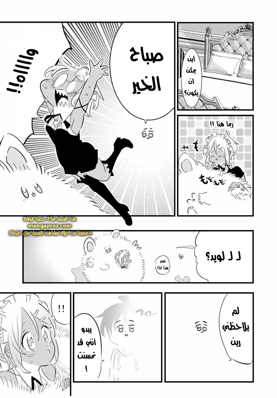 Chapter Image 5