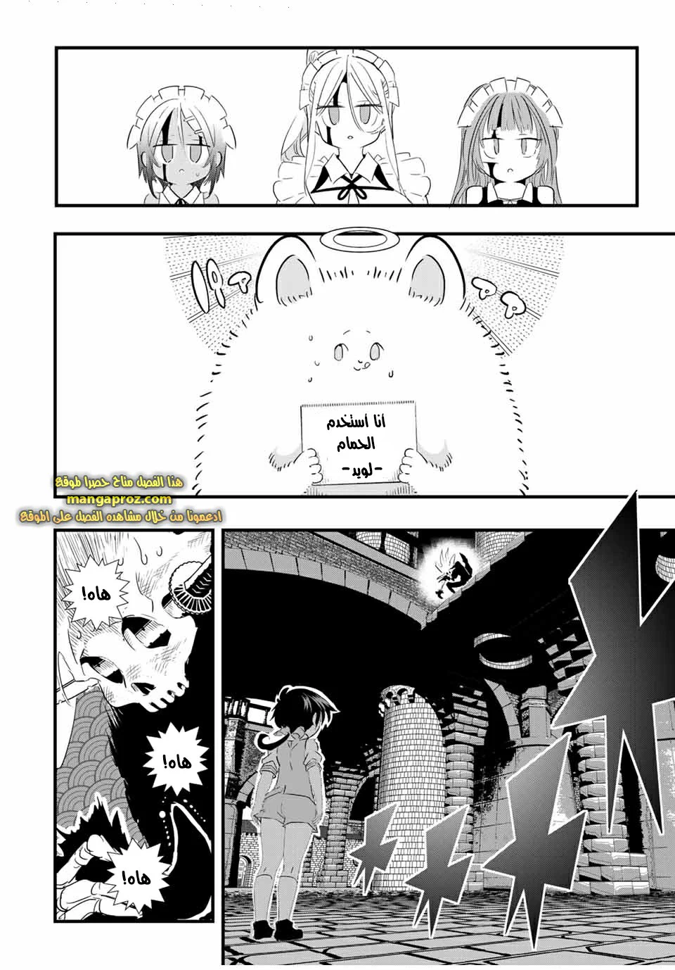 Chapter Image 19