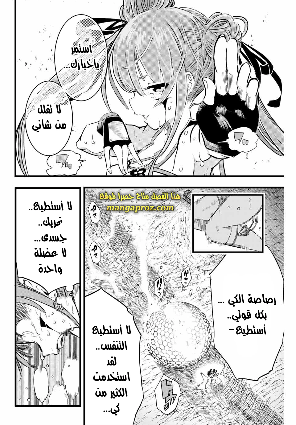 Chapter Image 13