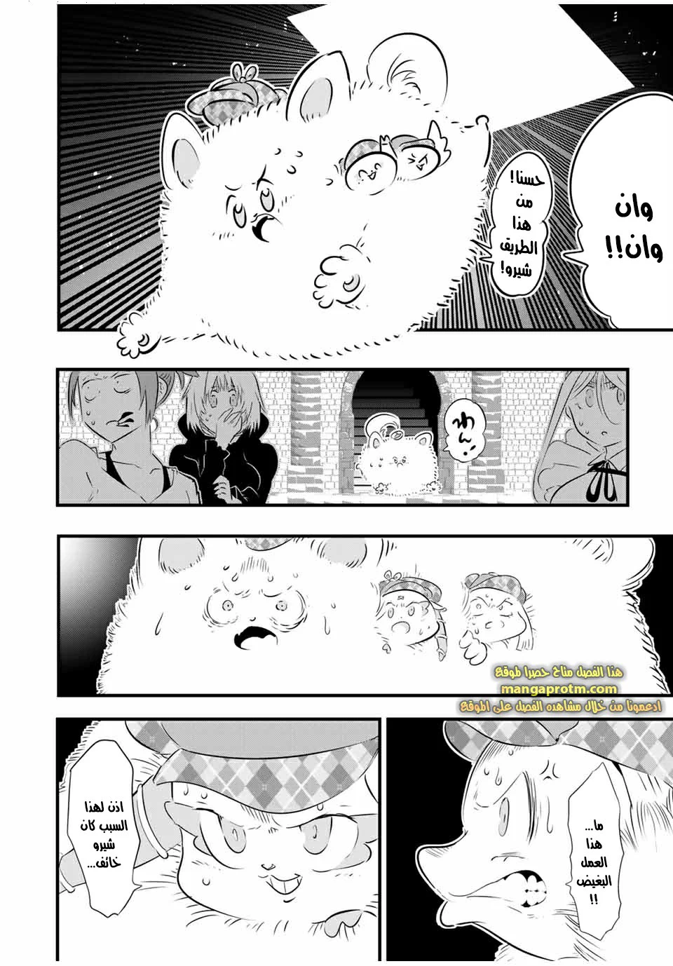 Chapter Image 3