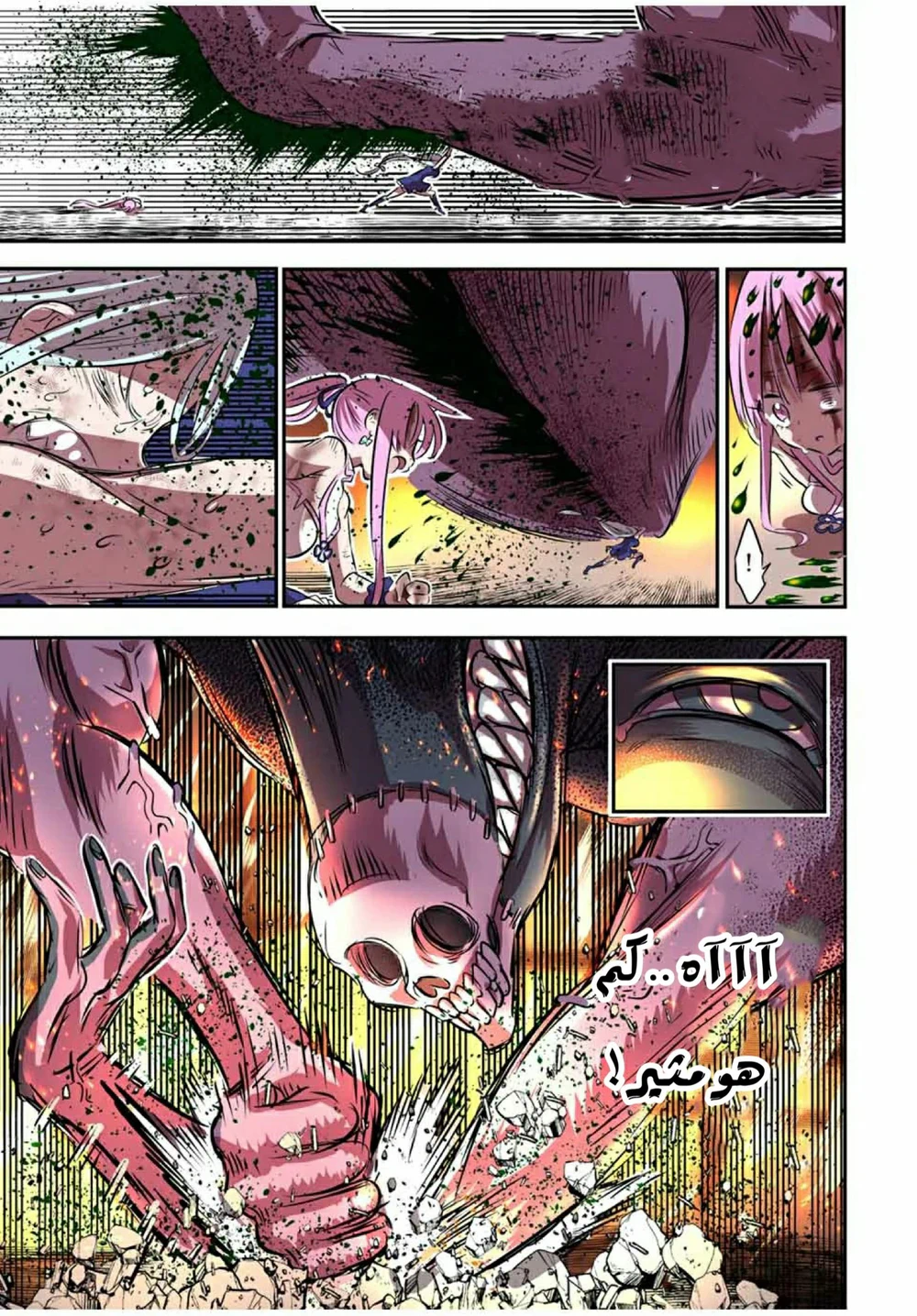 Chapter Image 12