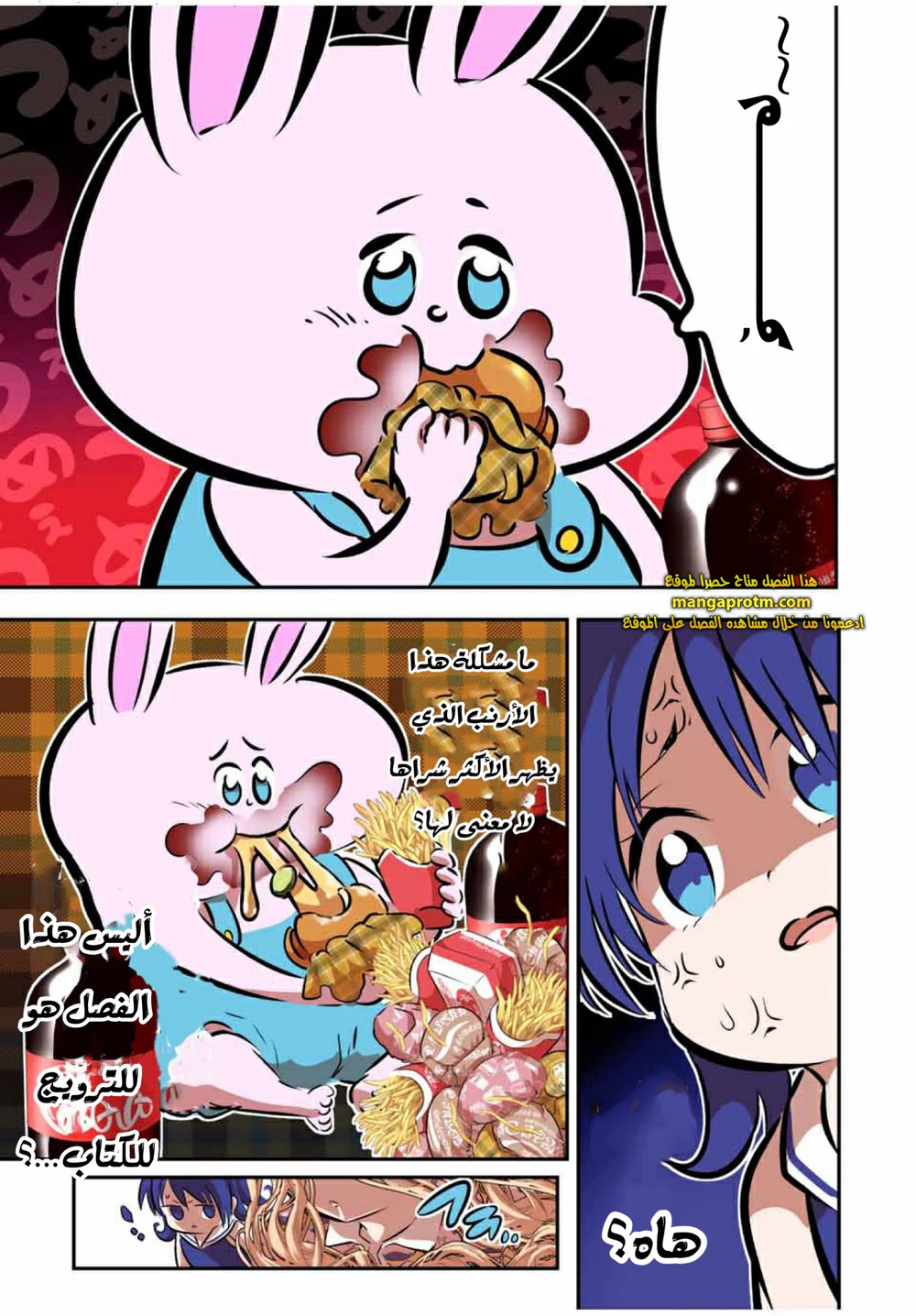 Chapter Image 14