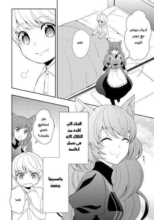 Chapter Image 4