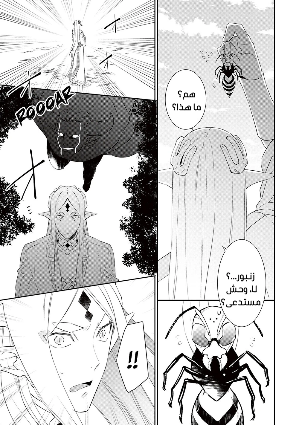 Chapter Image 5
