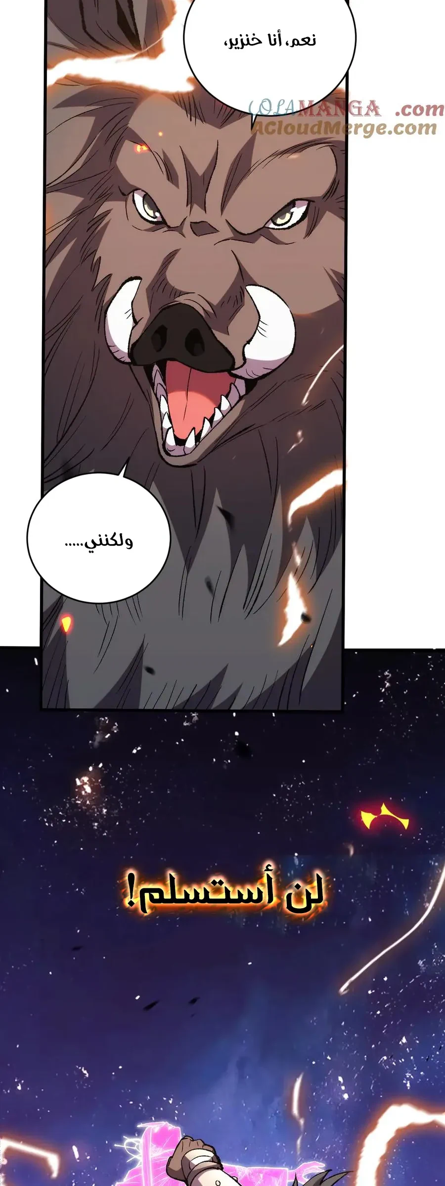 Chapter Image 7