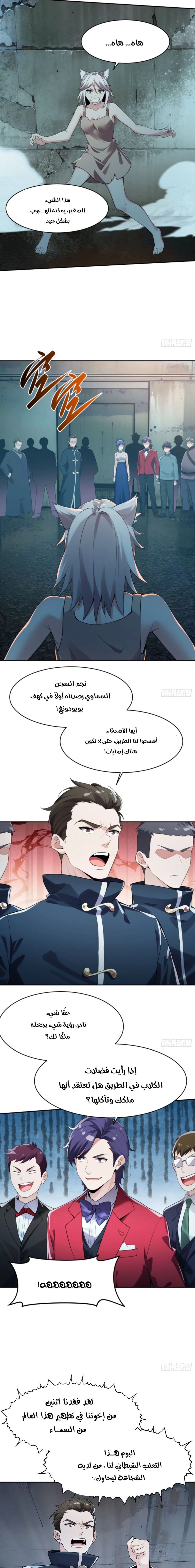 Chapter Image 5