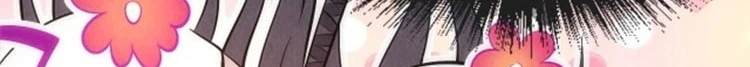 Chapter Image 737