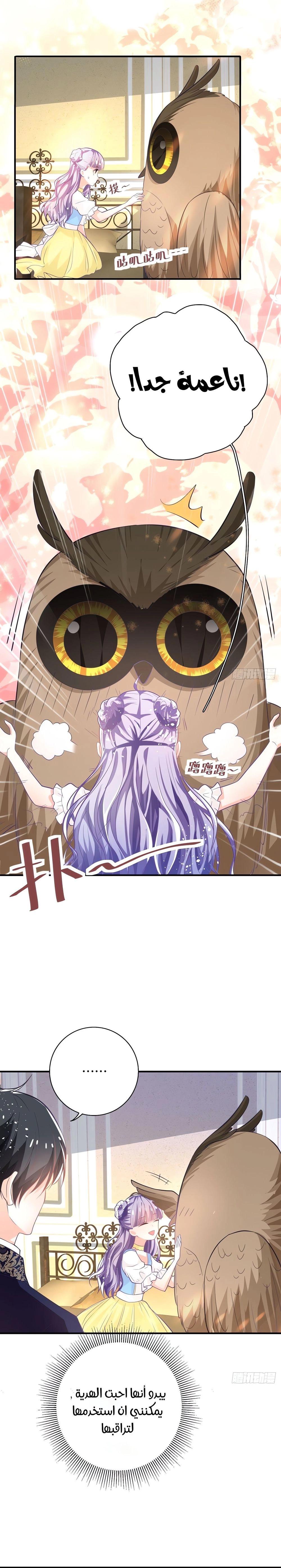 Chapter Image 5