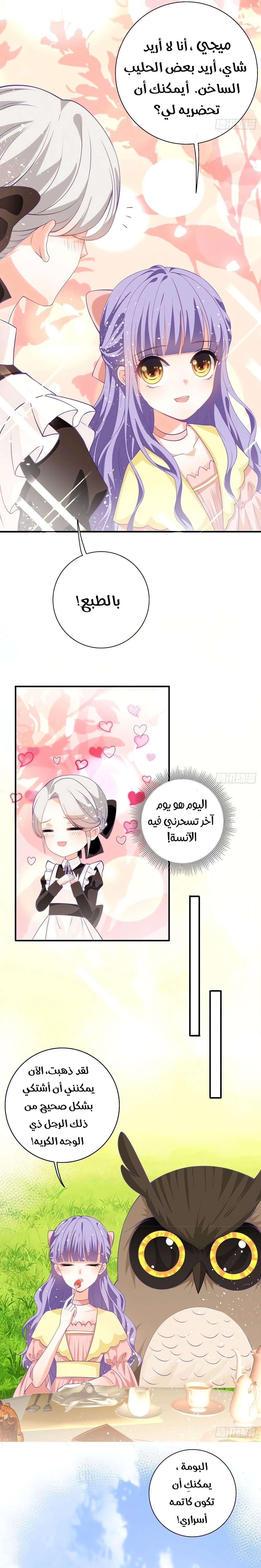 Chapter Image 8