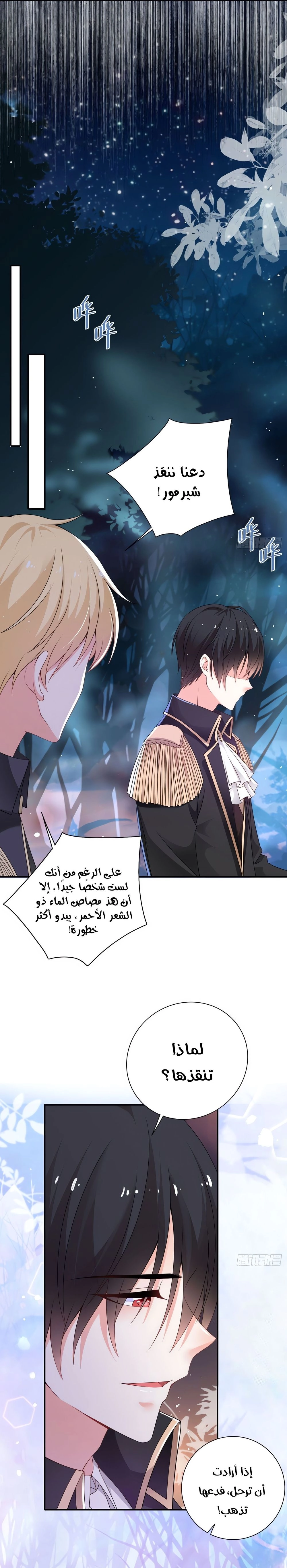 Chapter Image 13