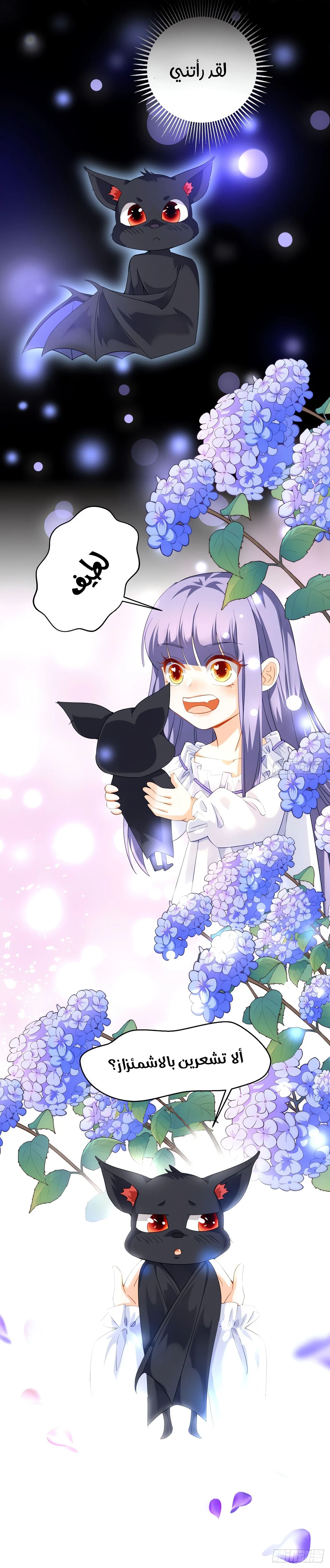 Chapter Image 13