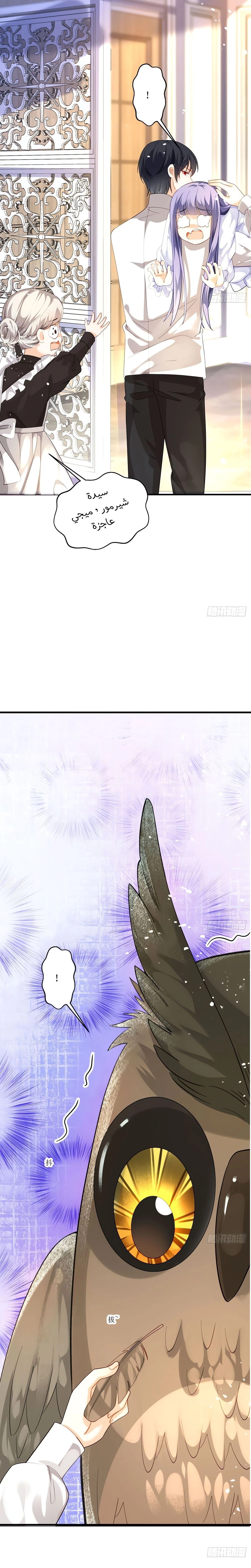 Chapter Image 6
