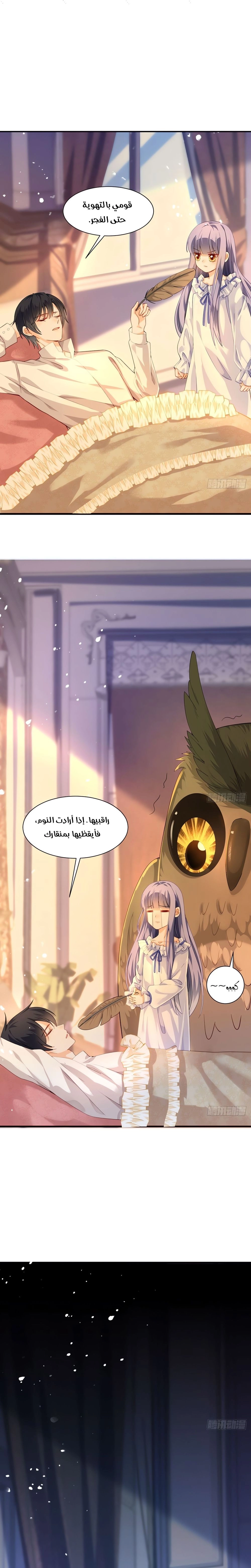 Chapter Image 7