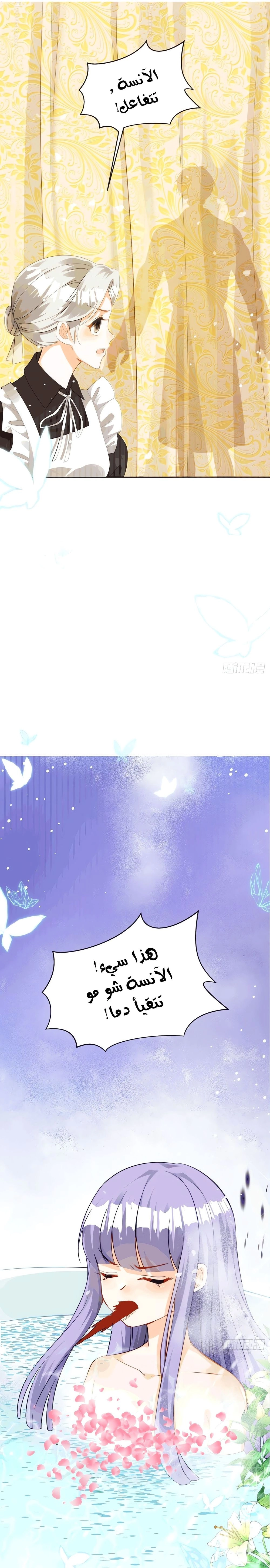 Chapter Image 12