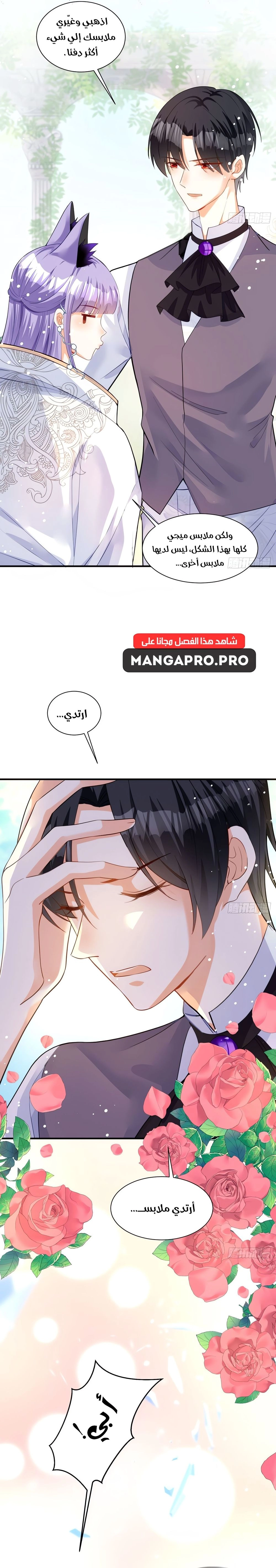 Chapter Image 20
