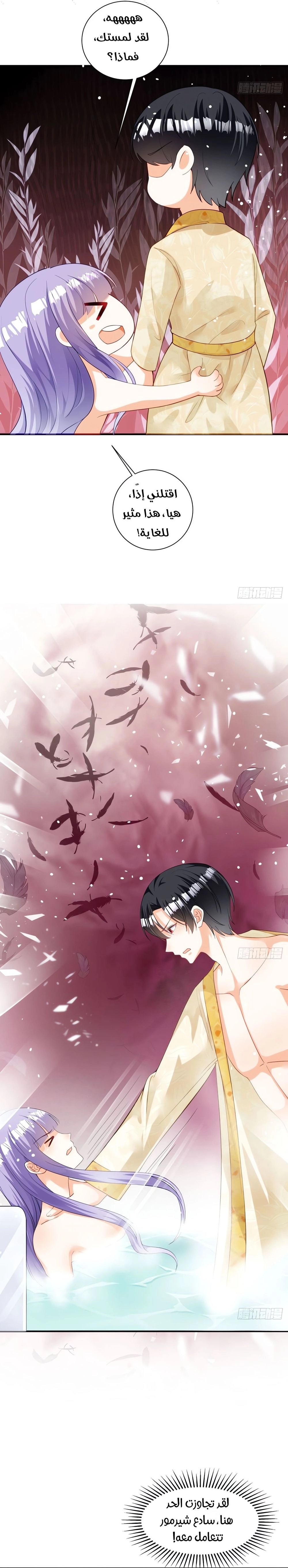 Chapter Image 5
