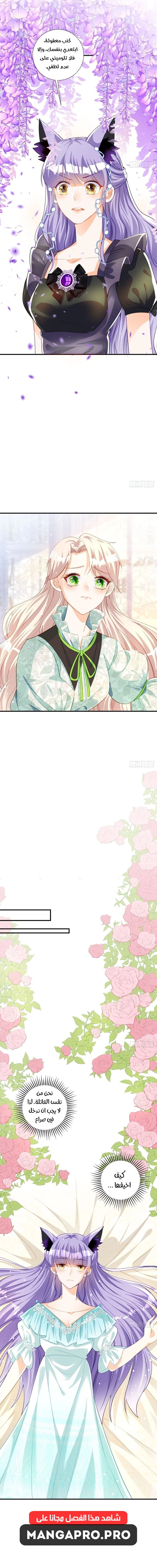 Chapter Image 17