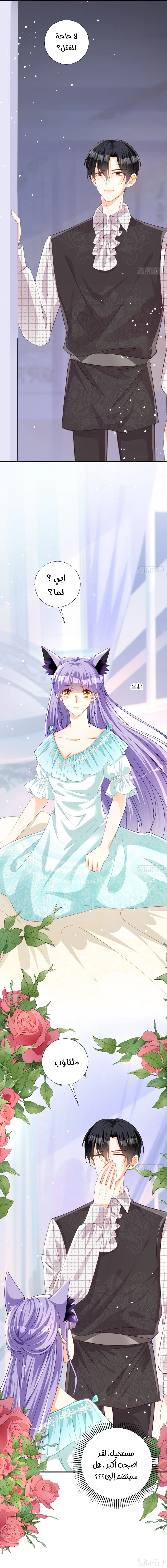 Chapter Image 19