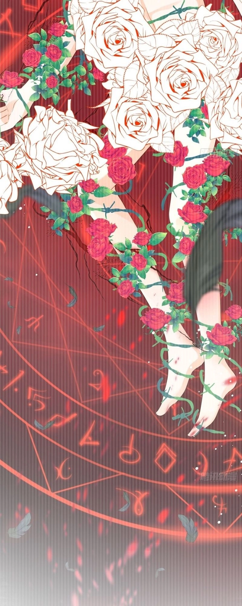 Chapter Image 3