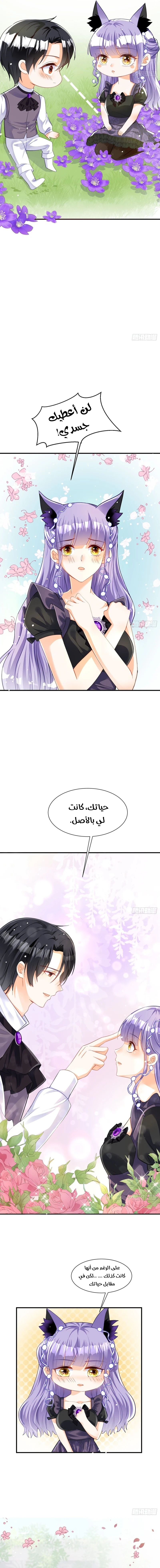 Chapter Image 8