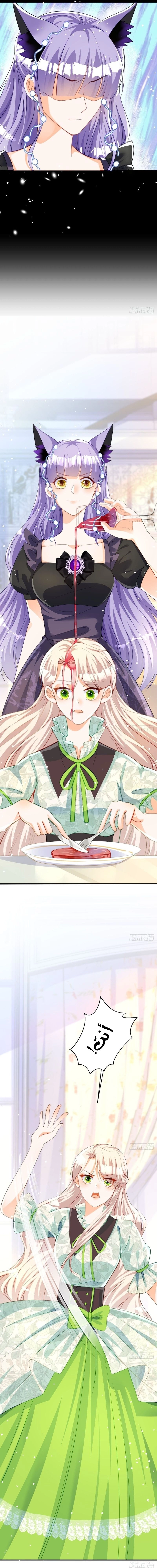Chapter Image 13