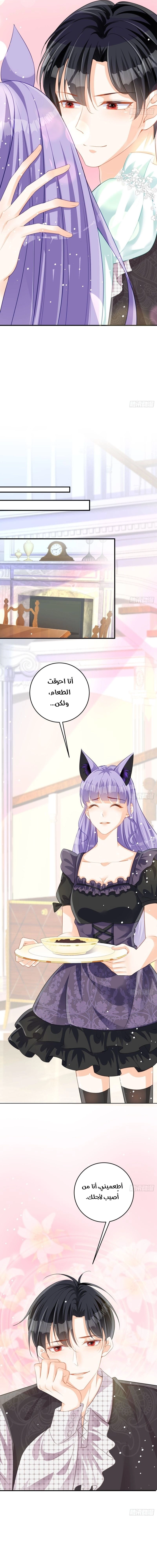 Chapter Image 12