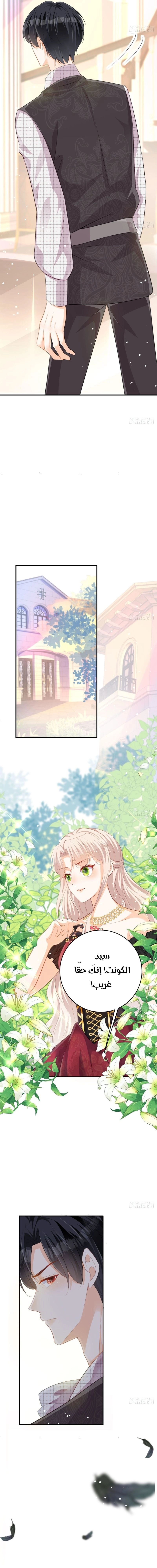 Chapter Image 16