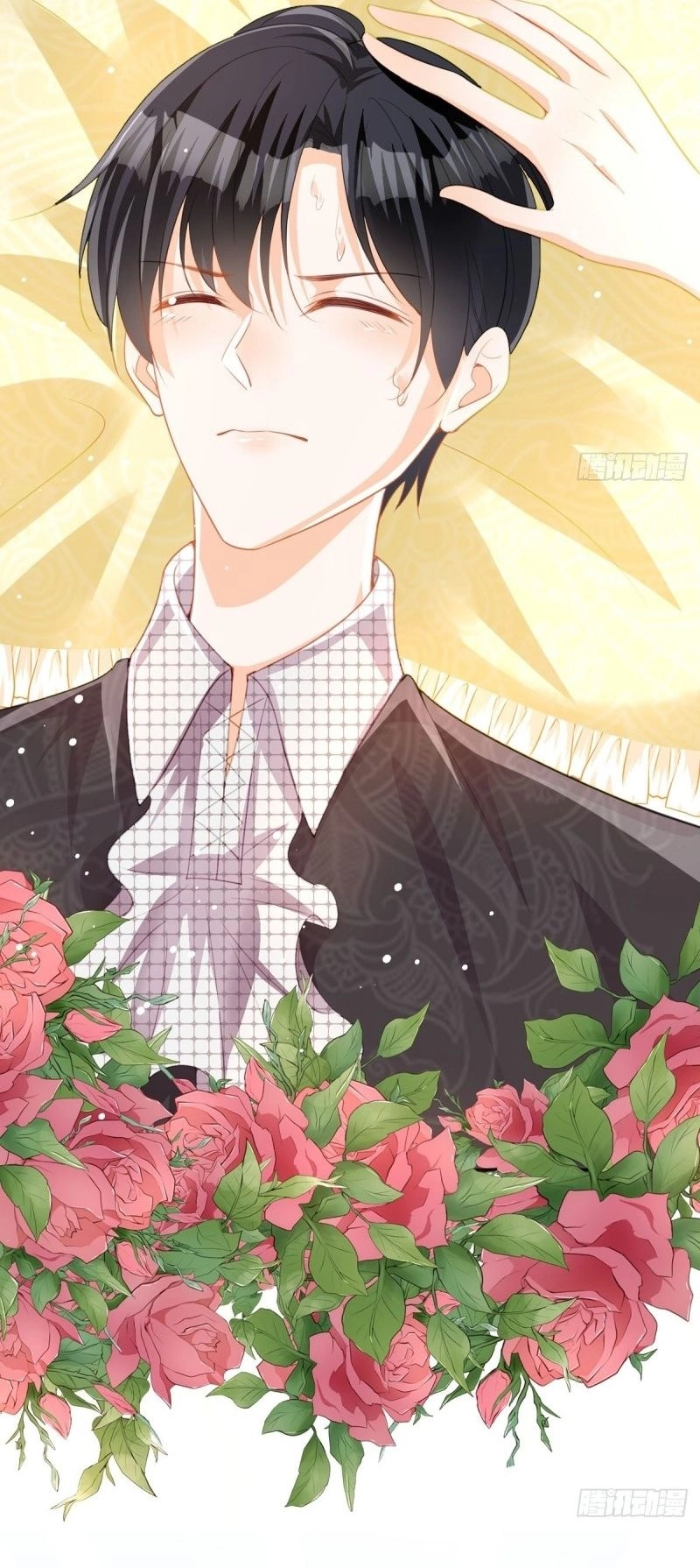 Chapter Image 5