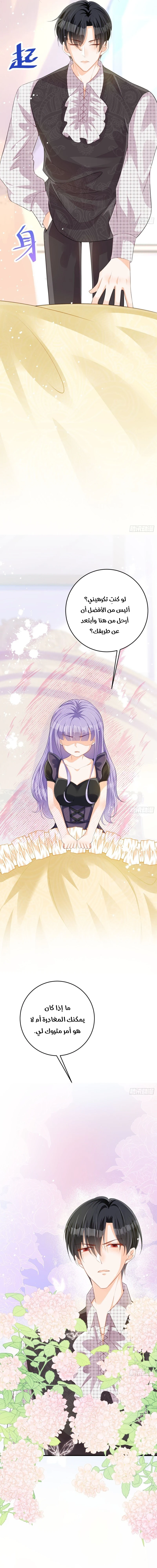 Chapter Image 10