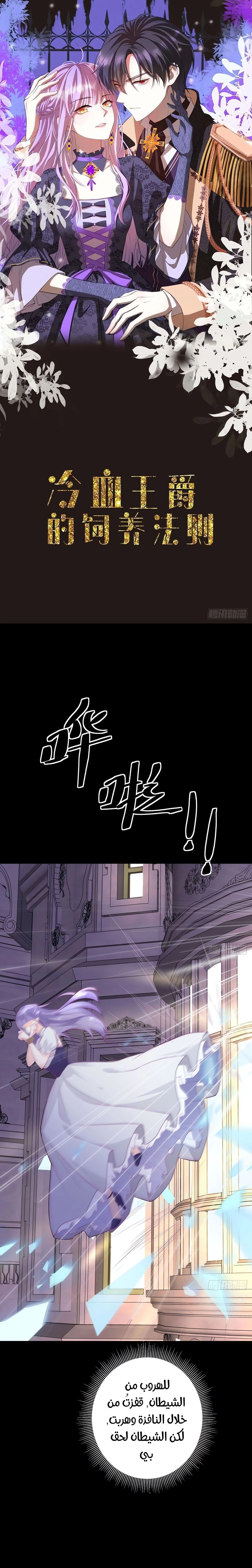 Chapter Image 1