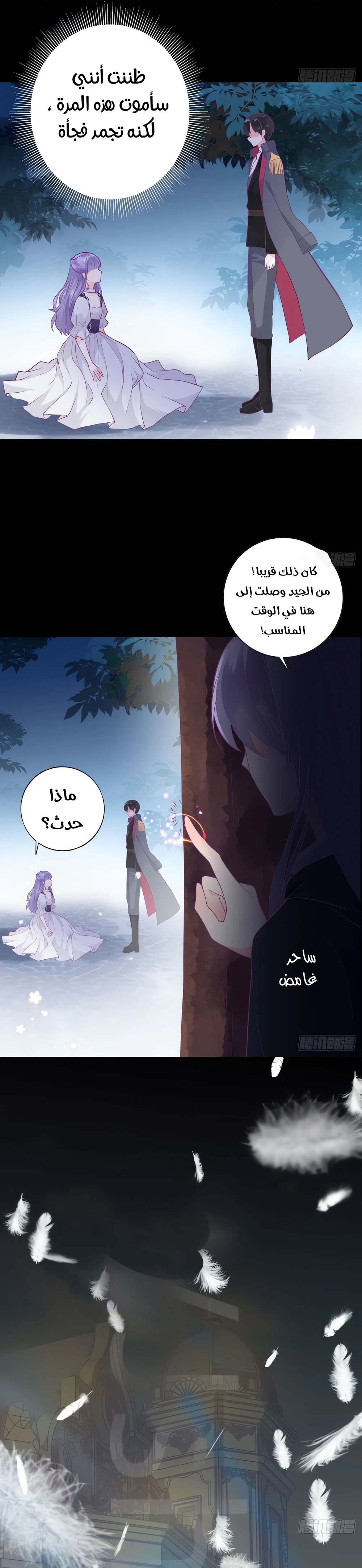 Chapter Image 2