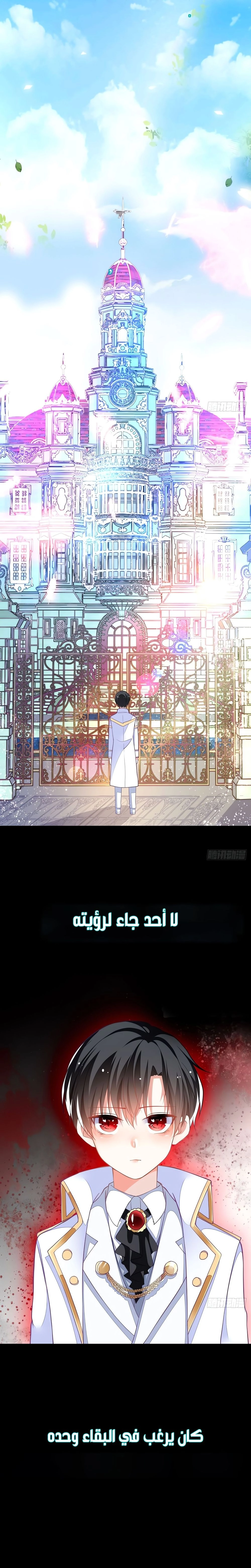 Chapter Image 7