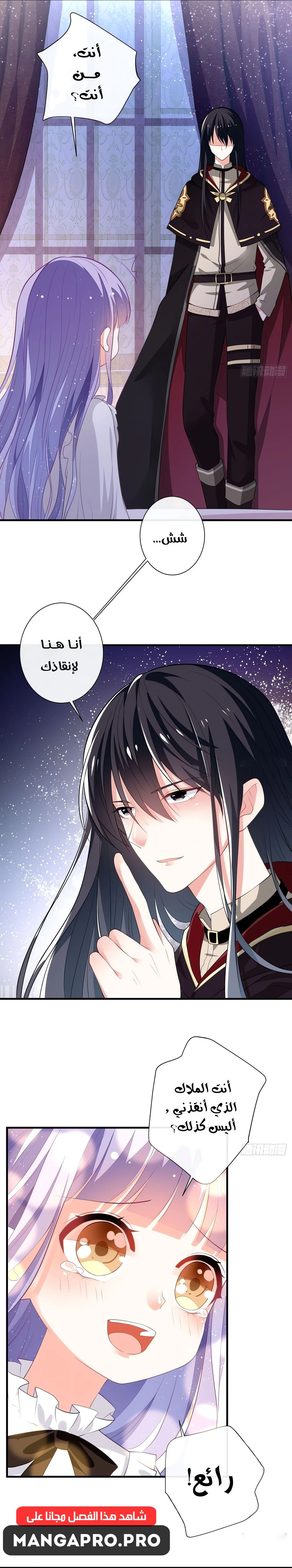 Chapter Image 8