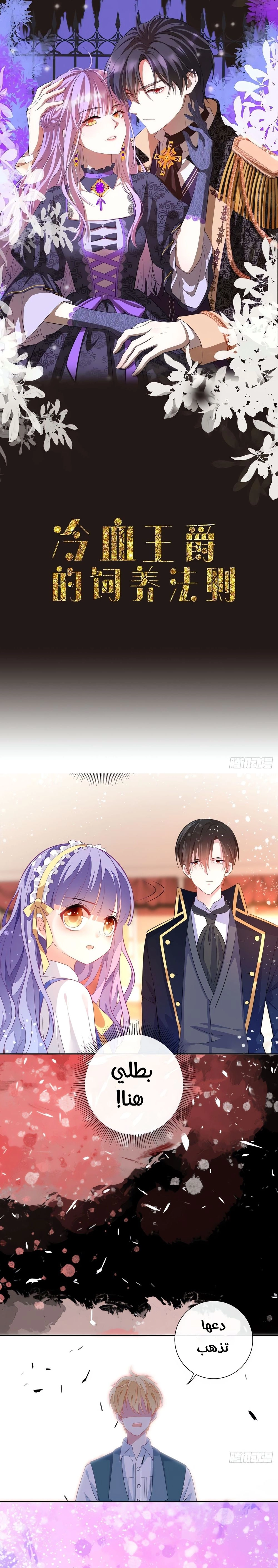 Chapter Image 1
