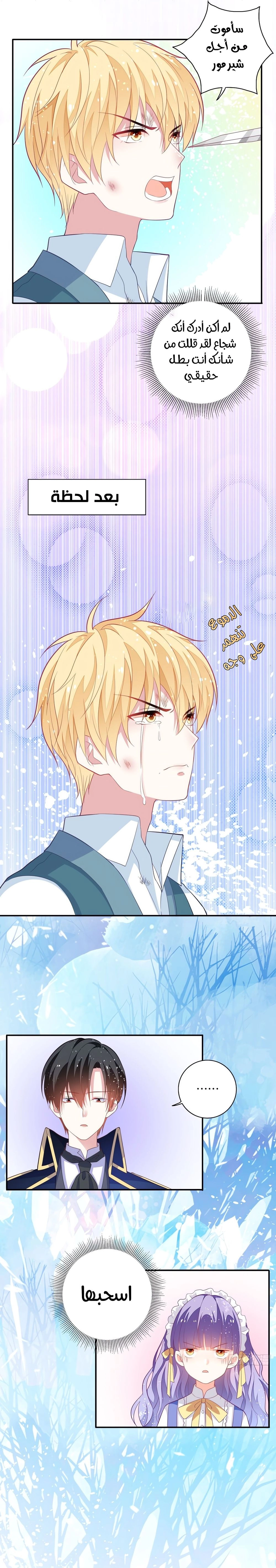 Chapter Image 5