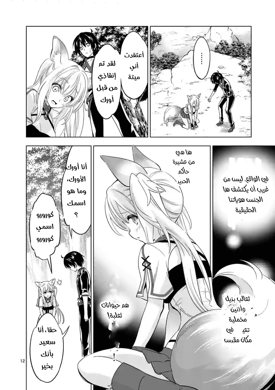 Chapter Image 12