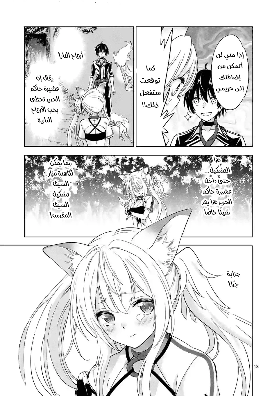 Chapter Image 13