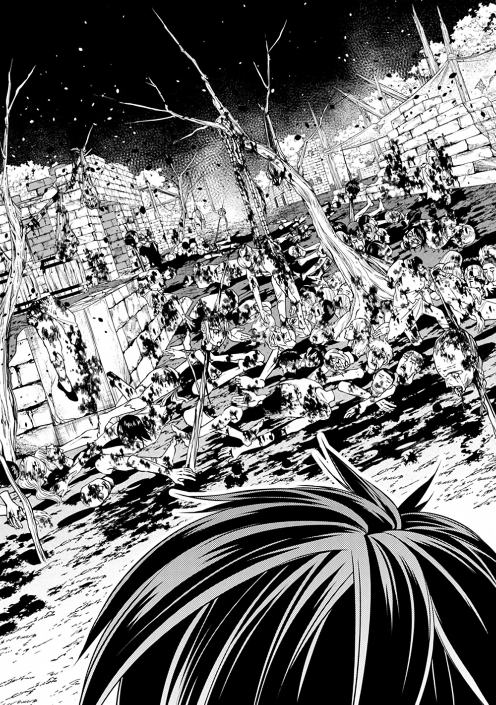 Chapter Image 5