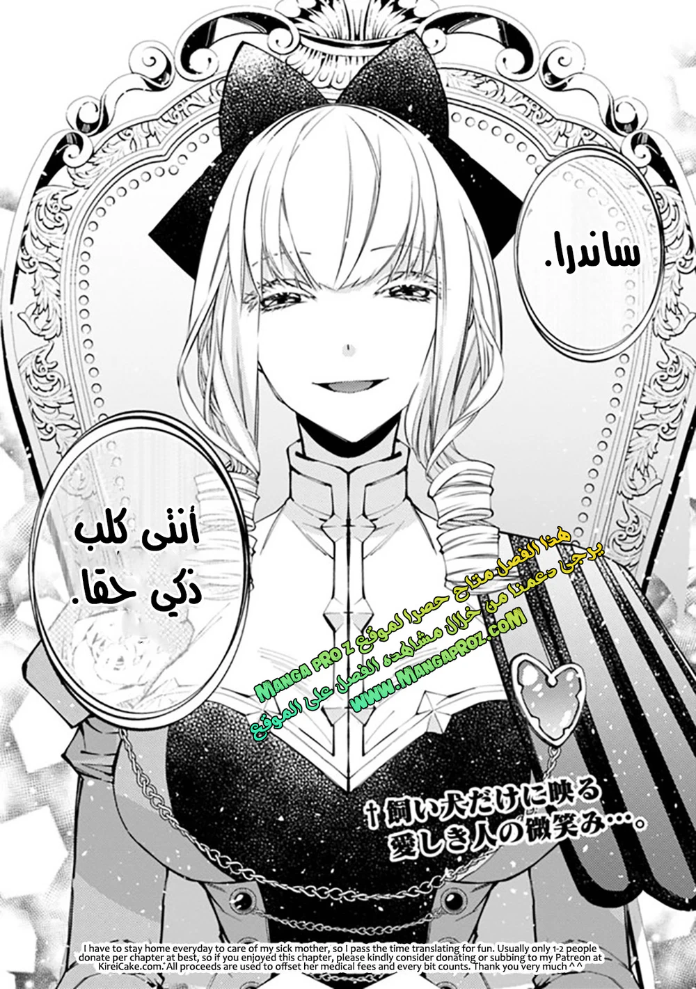 Chapter Image 21