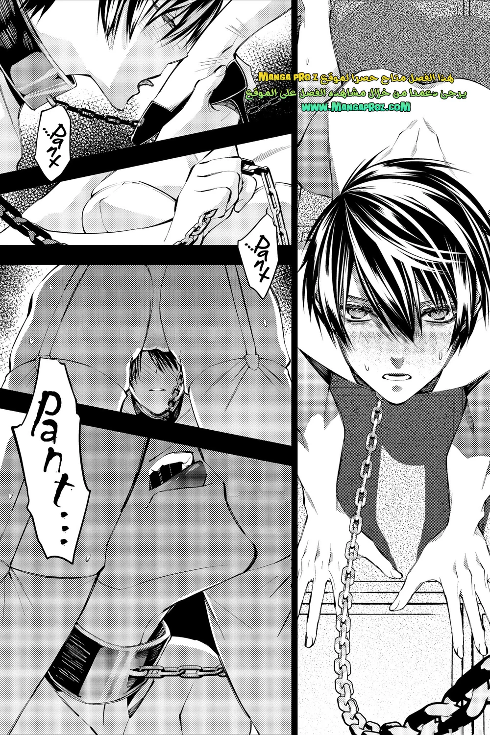 Chapter Image 13