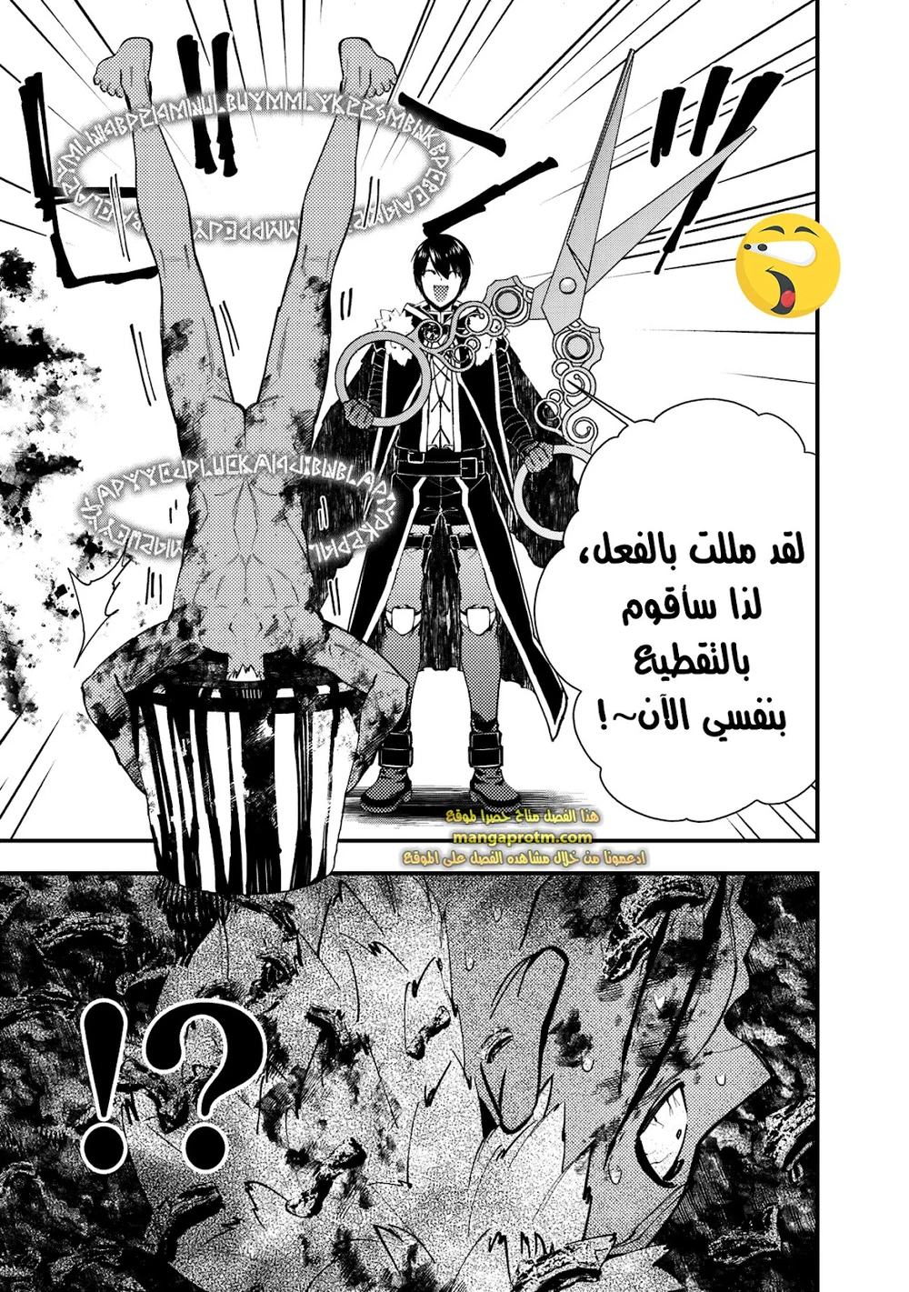 Chapter Image 20