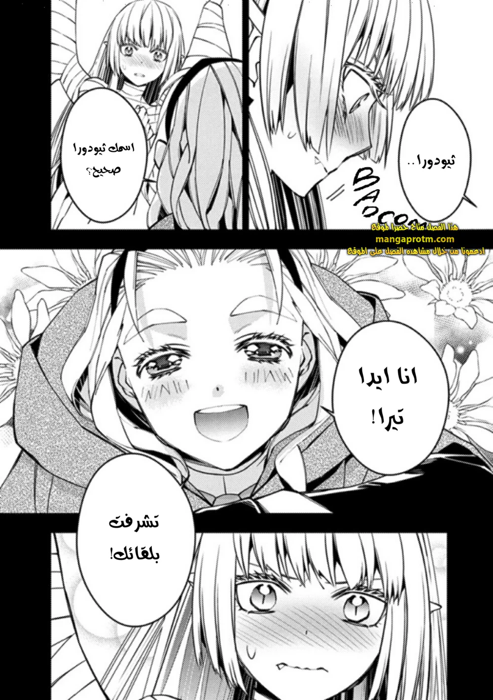 Chapter Image 11