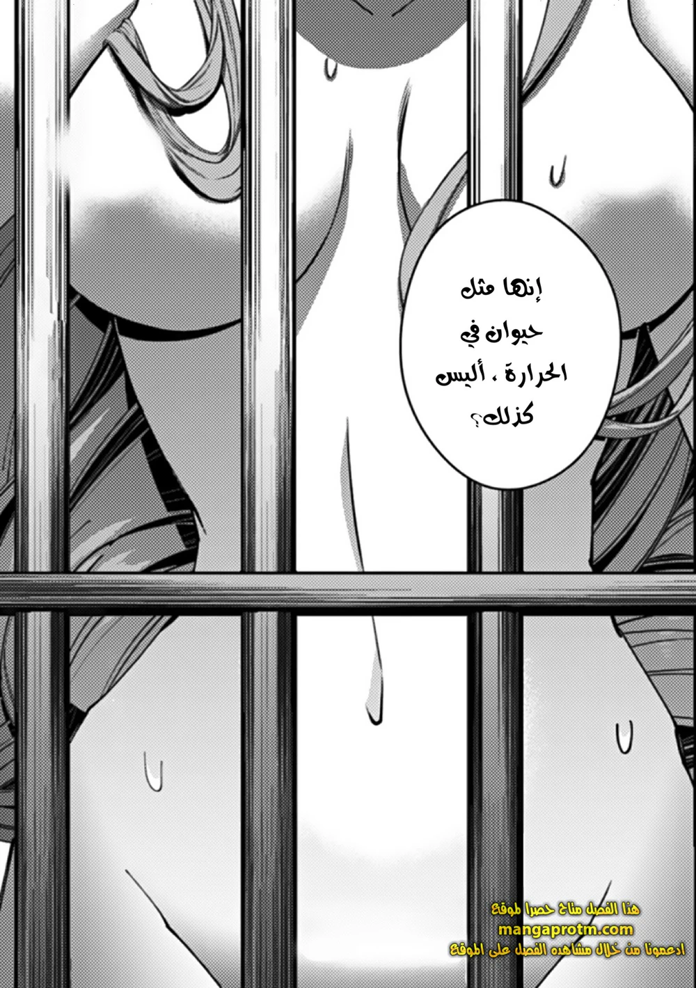Chapter Image 19