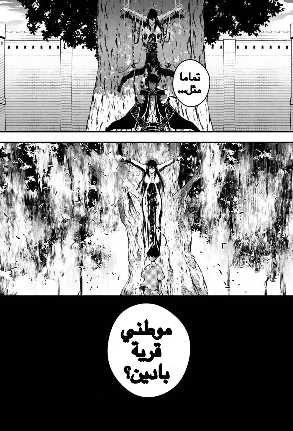 Chapter Image 12
