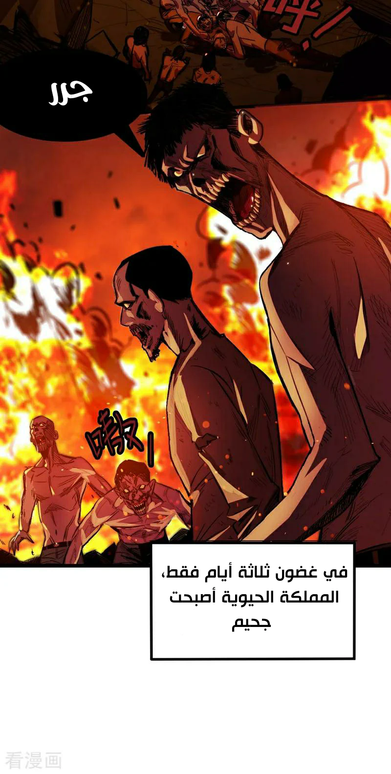 Chapter Image 2