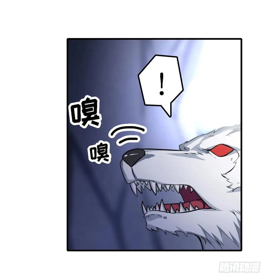 Chapter Image 5
